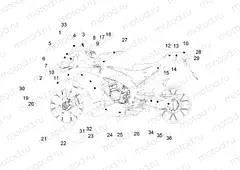 Decal