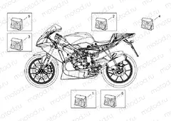 Decal