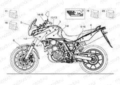 Decal