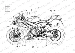 Decal