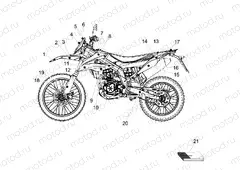 Decal