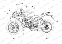 Decal
