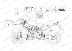 Decal and plate set