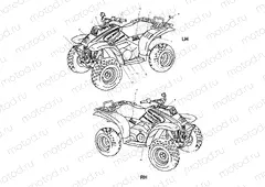 DECALS - A01AA32AA (4963816381A006) | DECALS - A01AA32AA (4963816381A006)