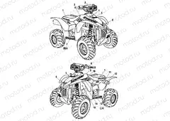 DECALS - A01BA50AA (4963716371A014) | DECALS - A01BA50AA (4963716371A014)