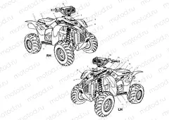 DECALS - A01BG50AA (4963766376A014) | DECALS - A01BG50AA (4963766376A014)