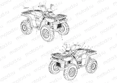DECALS - A01CG38CA (4963916391A006) | DECALS - A01CG38CA (4963916391A006)