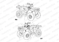 DECALS - A01CK42AA (4964136413A008) | DECALS - A01CK42AA (4964136413A008)