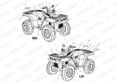 DECALS - A02CH42AA (4968536853A08) | DECALS - A02CH42AA (4968536853A08)