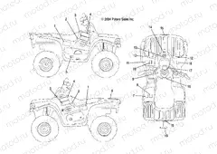 DECALS - A05CA32EA (4999200489920048A05) | DECALS - A05CA32EA (4999200489920048A05)
