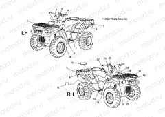 DECALS - A05JD32AA (4995169516A13) | DECALS - A05JD32AA (4995169516A13)