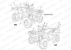 DECALS - A06MH50AA/AB/AD/AF (4999200099920009A08) | DECALS - A06MH50AA/AB/AD/AF (4999200099920009A08)