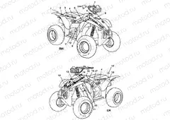 DECALS - A99BG38CA (4949664966b001) | DECALS - A99BG38CA (4949664966b001)