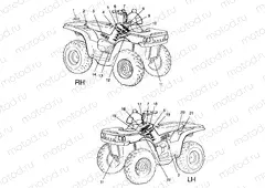 DECALS - A99CH33CB (4945964596a011) | DECALS - A99CH33CB (4945964596a011)