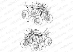DECALS Trail Blazer W98BA25C (4945464546A011) | DECALS Trail Blazer W98BA25C (4945464546A011)