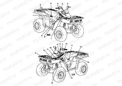 DECALS - W98CA28C (4945364536a012) | DECALS - W98CA28C (4945364536a012)