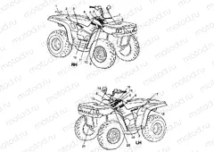 DECALS XPLORER 300 W98CC28C (4945264526A009) | DECALS XPLORER 300 W98CC28C (4945264526A009)