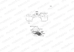 Decals(Green)(EU)