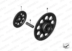 Double gear wheel / idler gear