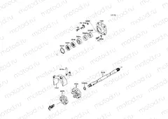 Drive Shaft
