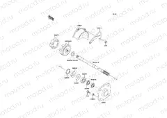 Drive Shaft