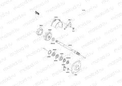 Drive Shaft