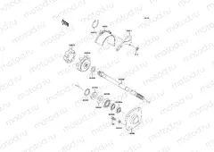 Drive Shaft