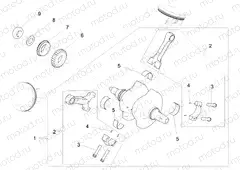Drive shaft
