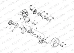 Drive shaft