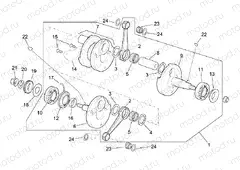 Drive shaft