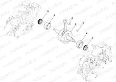 Drive shaft