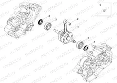 Drive shaft
