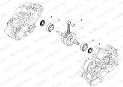 Drive shaft