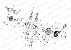 Drive shaft