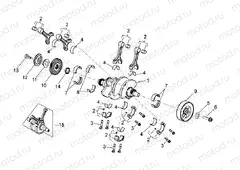 Drive shaft