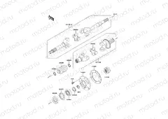 Drive Shaft-Rear