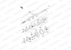 Drive Shaft-Rear