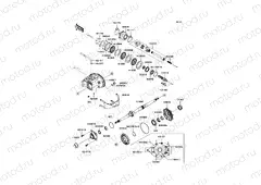 Drive Shaft-Rear