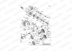 Drive Shaft-Rear