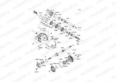 Drive Shaft-Rear