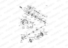 Drive Shaft-Rear