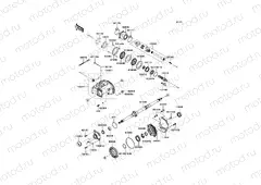 Drive Shaft-Rear