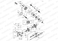 Drive Shaft-Rear