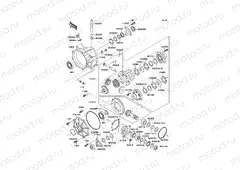 Drive Shaft(Differential)
