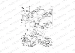 Drive Shaft(Differential)