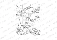 Drive Shaft(Differential)