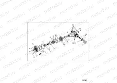 DRIVE TRAIN | DRIVE TRAIN, FRONT GEARCASE INTERNALS - D22P2E99A4/F99A4 (702587)