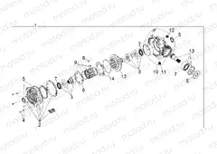 DRIVE TRAIN | DRIVE TRAIN, FRONT GEARCASE INTERNALS - R151DPD1AA/2D (49BOBCATGCFRTINTL13900DH)
