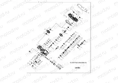 DRIVE TRAIN | DRIVE TRAIN, MAIN GEARCASE - A17SES57CL/EL