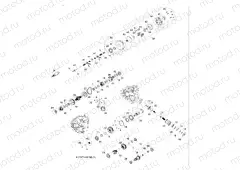 DRIVE TRAIN | DRIVE TRAIN, MAIN GEARCASE INTERNALS - R13XT9EFX (49RGRTRANSINTL1333063)